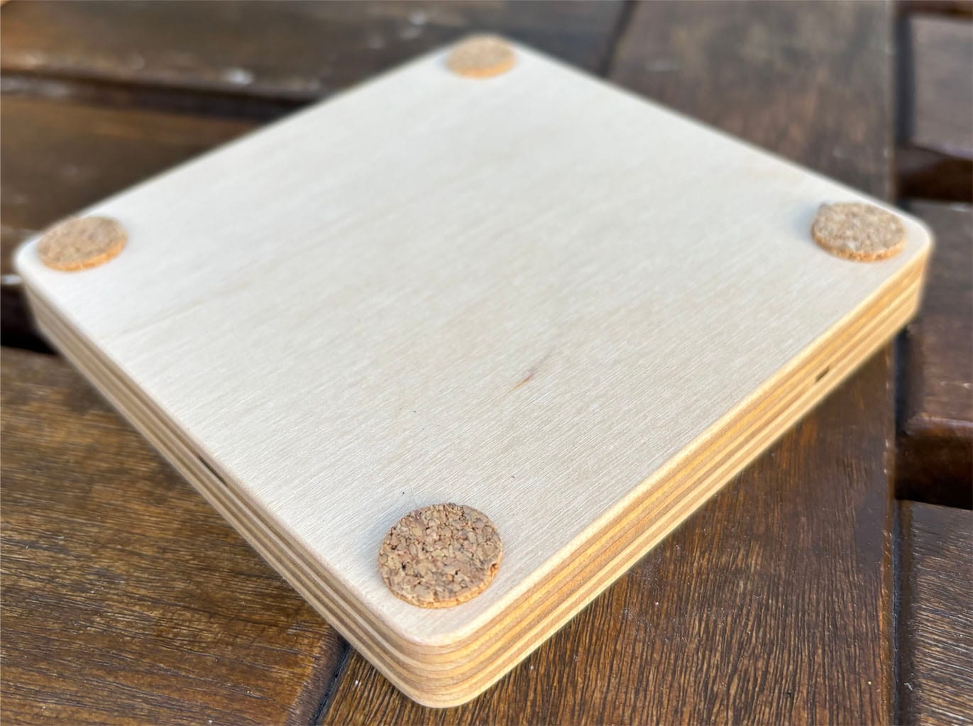 Handmade Vinyl Coasters / Asia Alpha — photo 4