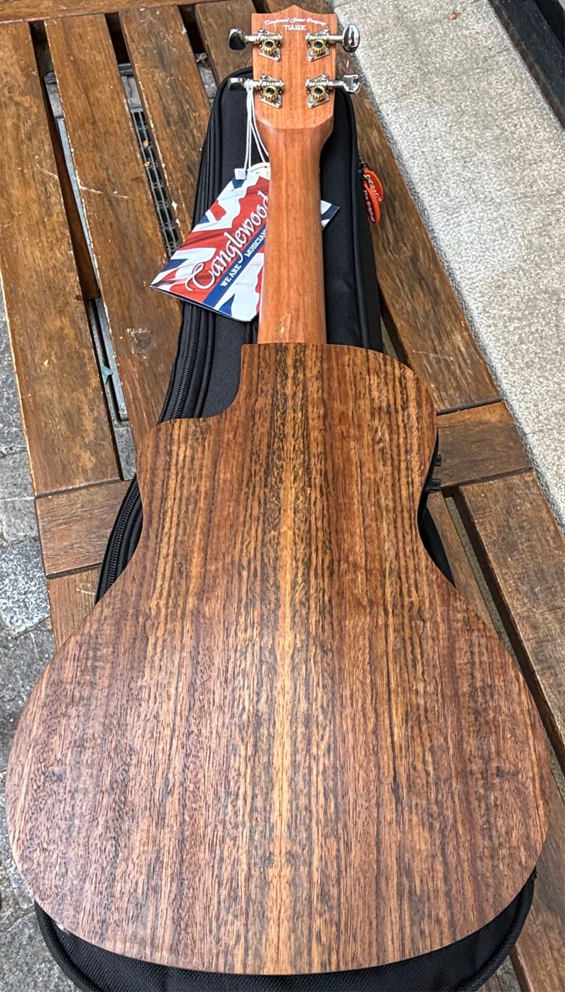 Tanglewood TIARE Concert TWT 12 E — photo 3