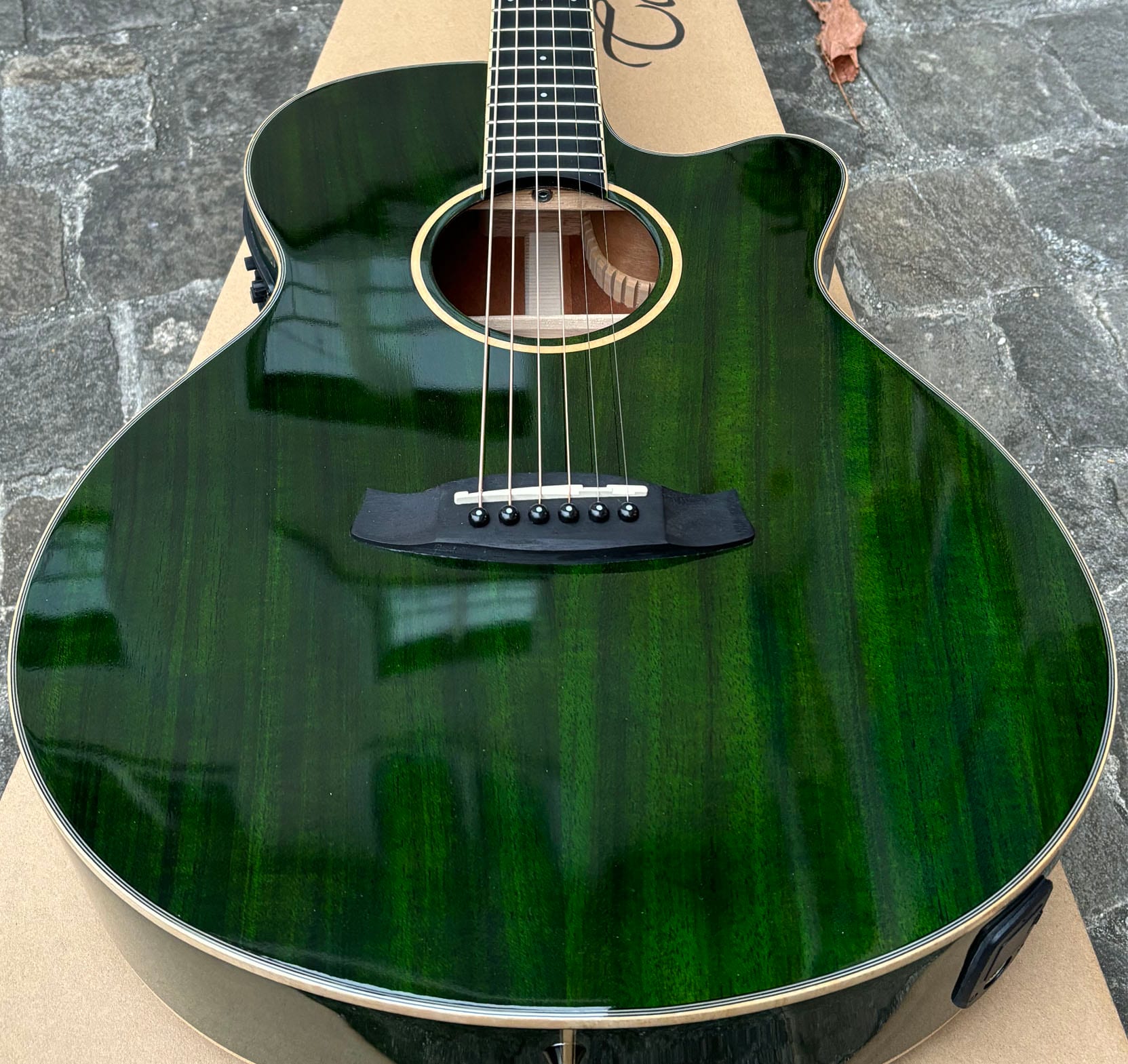 Tanglewood TW4CE-FG