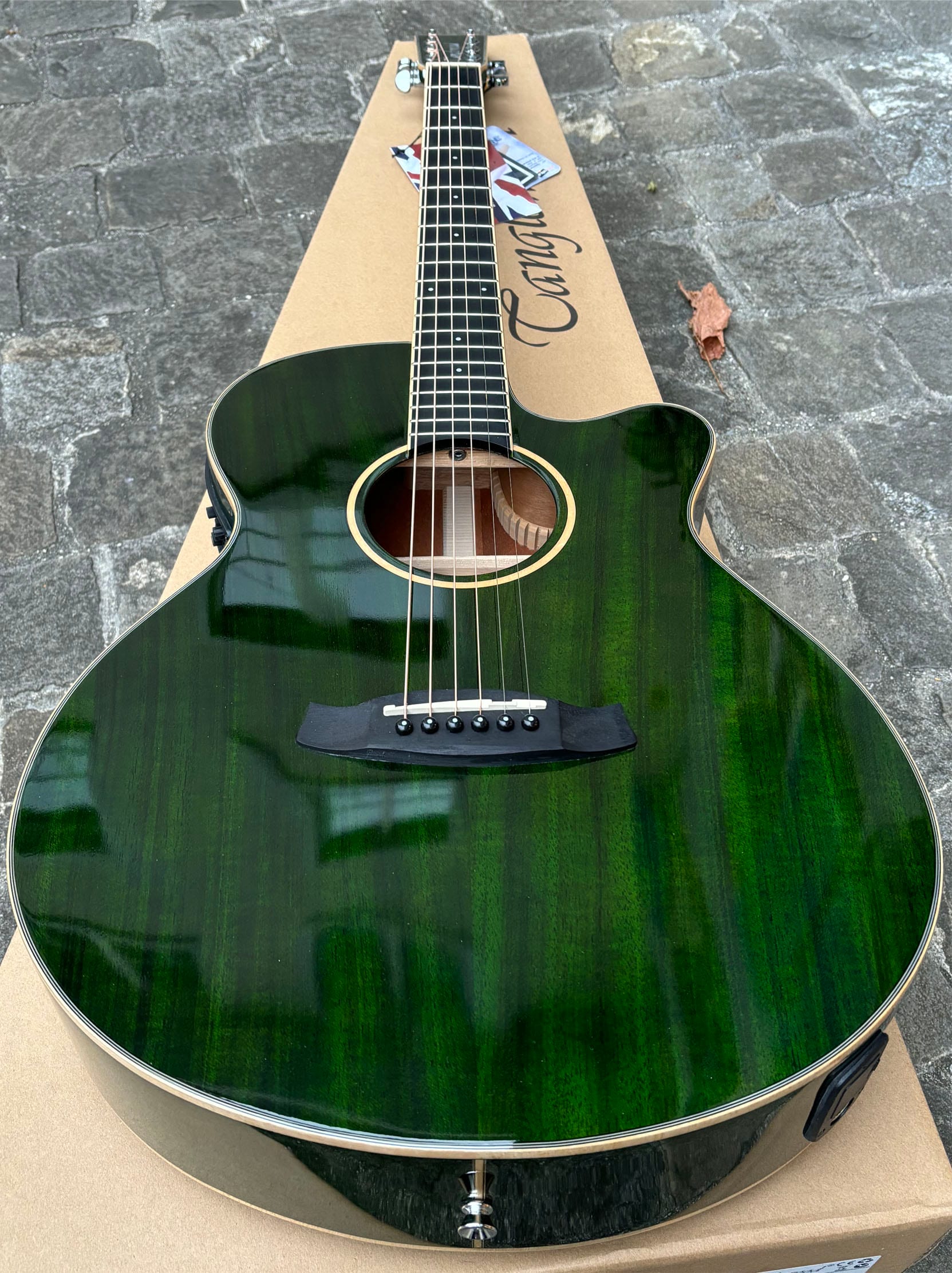 Tanglewood TW4CE-FG