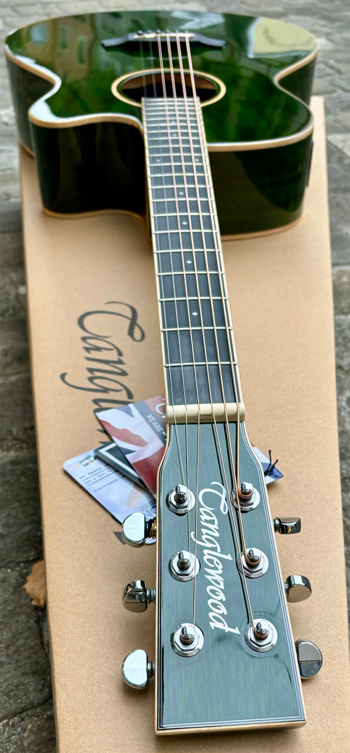 Tanglewood TW4CE-FG