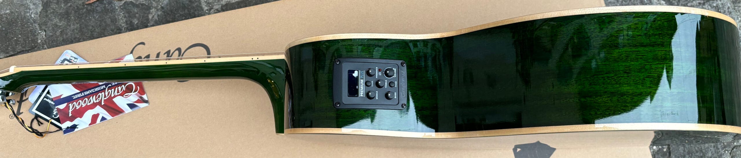 Tanglewood TW4CE-FG