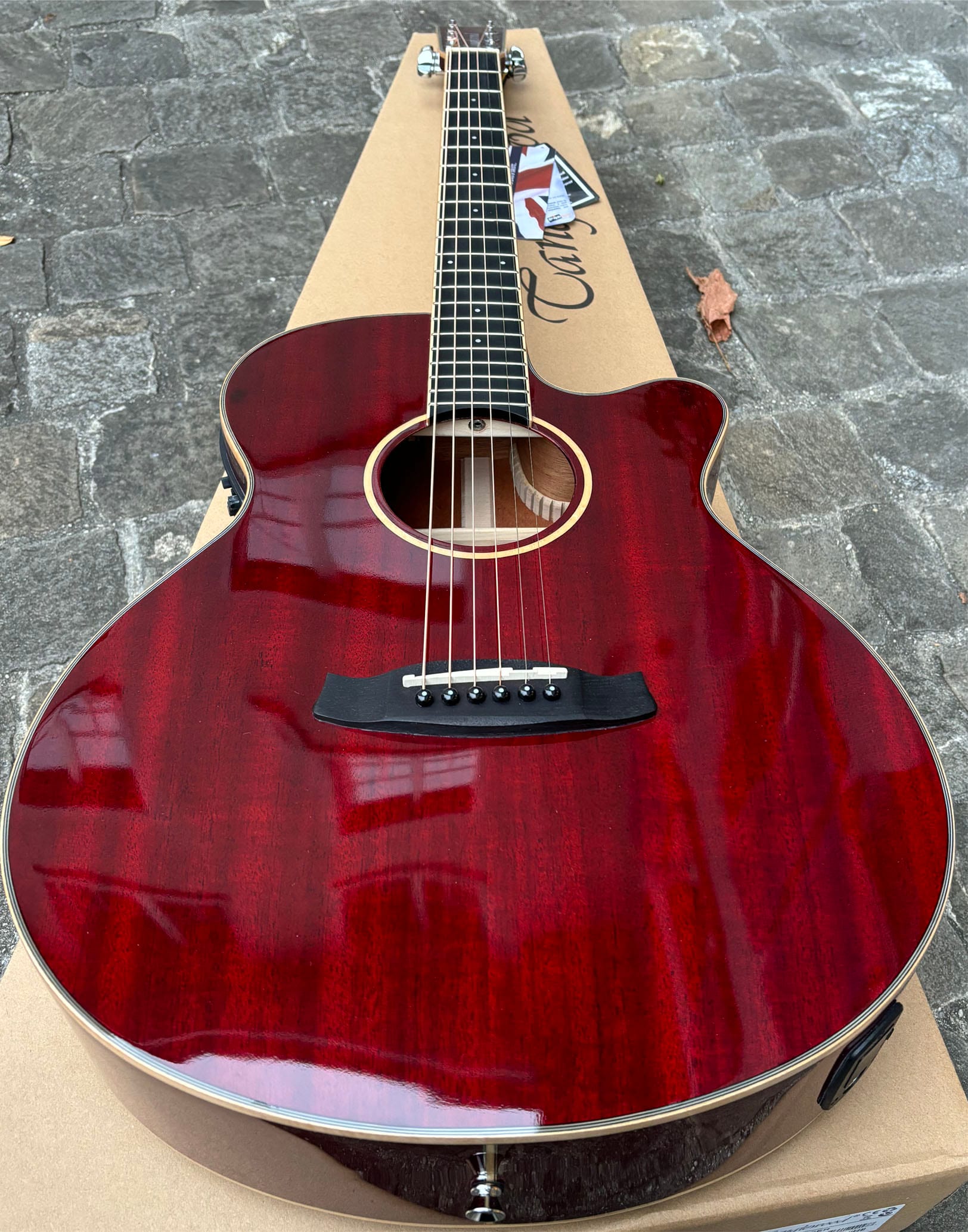 Tanglewood TW4CE-R
